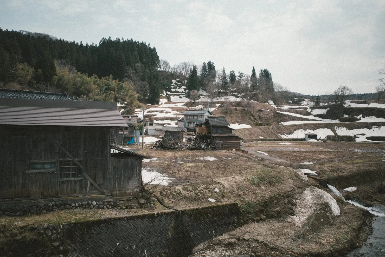 関川の記録(春)